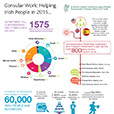 Consular work statistics 2015 Infographic