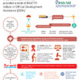 Irish Aid Statistics 2015 Infographic