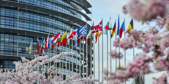 European Parliament in Strasbourg under the cherry Blossom trees