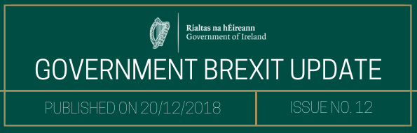Government Brexit Update 21 December 2018