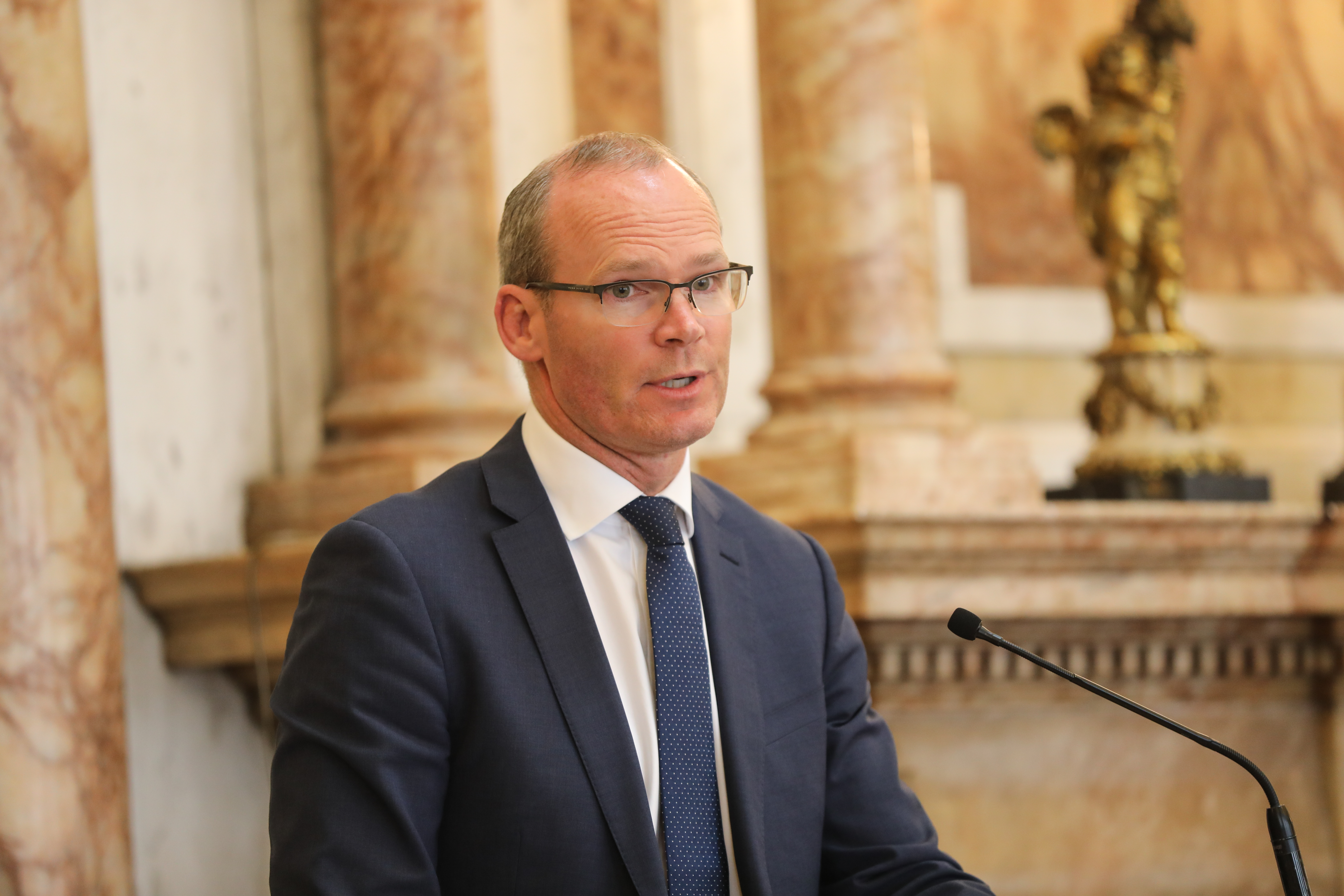 Statement from Tánaiste Simon Coveney after Cabinet