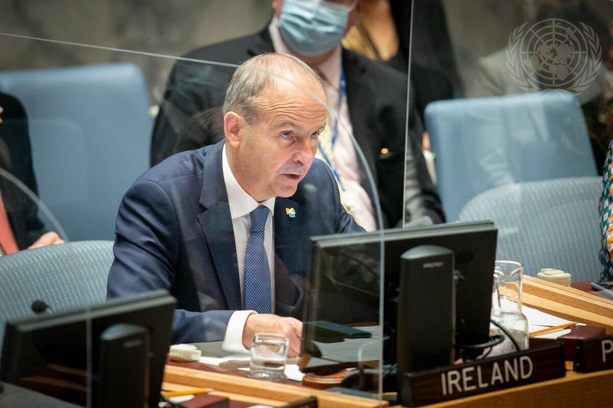 Micheal Martin speaking at the UN General Assembly