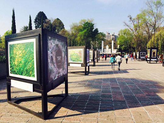 The exhibition of photographs by Irish photographer Daragh Muldowney in the Chapultepec Park.