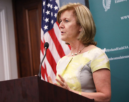 Ambassador Anne Anderson speaking at her Farewell Reception on Capitol Hill, 29 June 2017