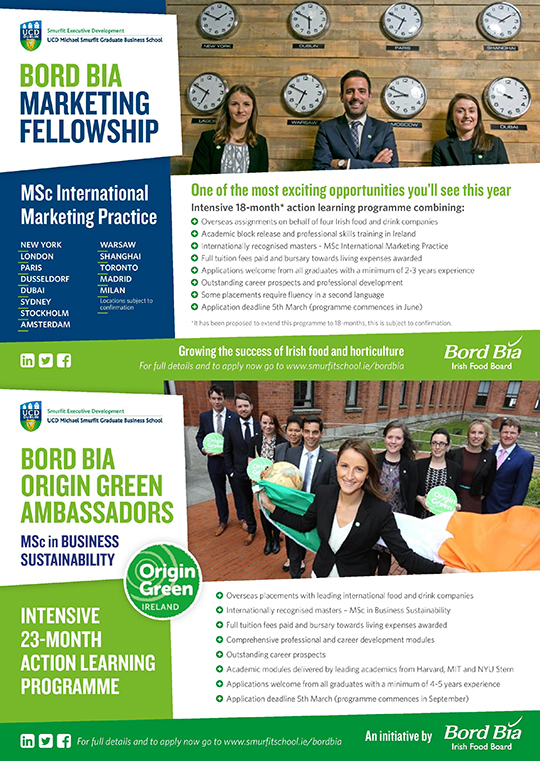 Bord Bia Marketing Fellowship and Origin Green Ambassador programme flyer