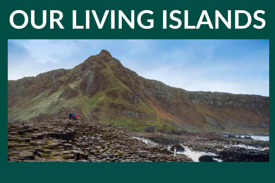 Our Living Islands - Preguntas Frequentes 