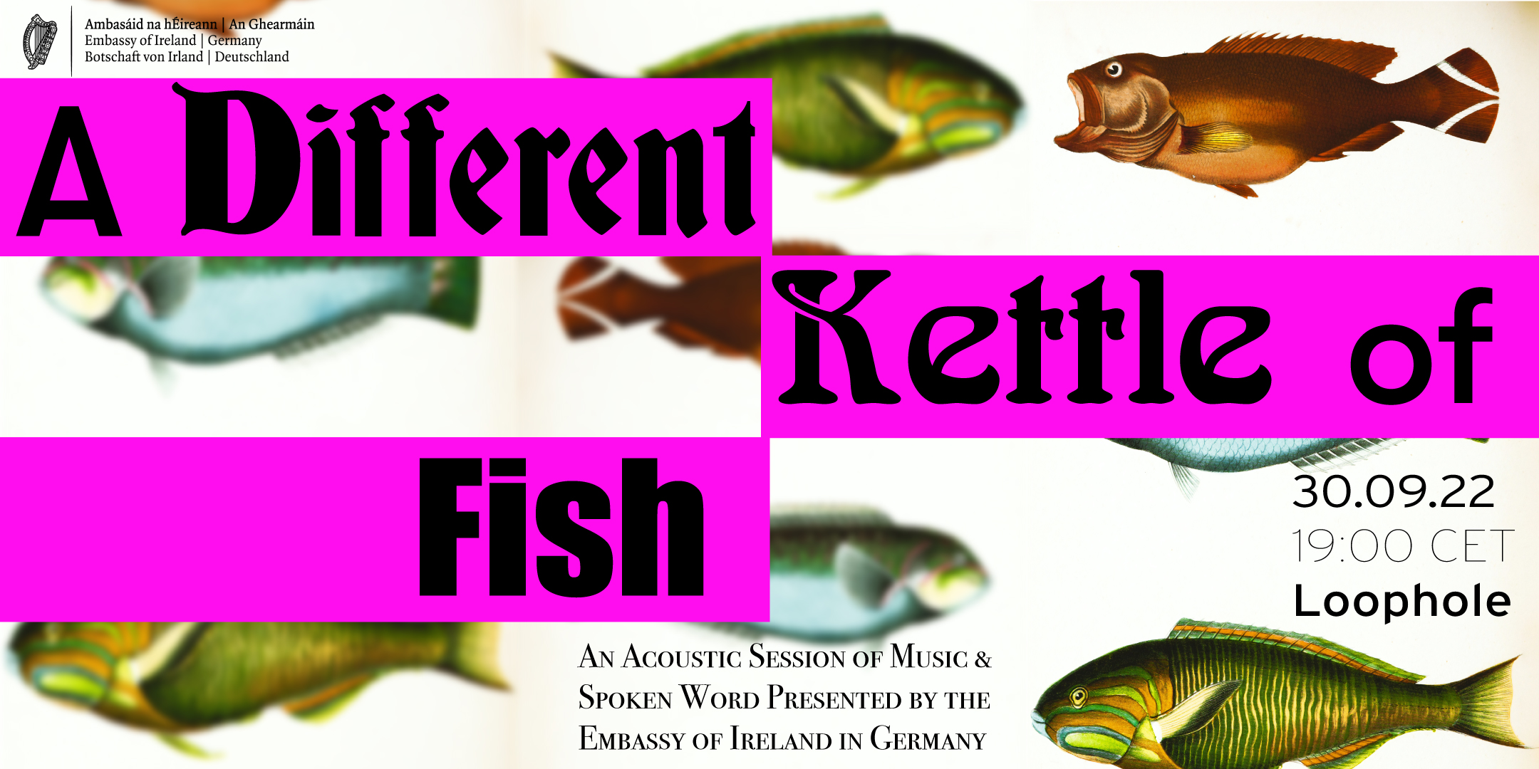 News Archive A Different Kettle Of Fish 30 September Department 