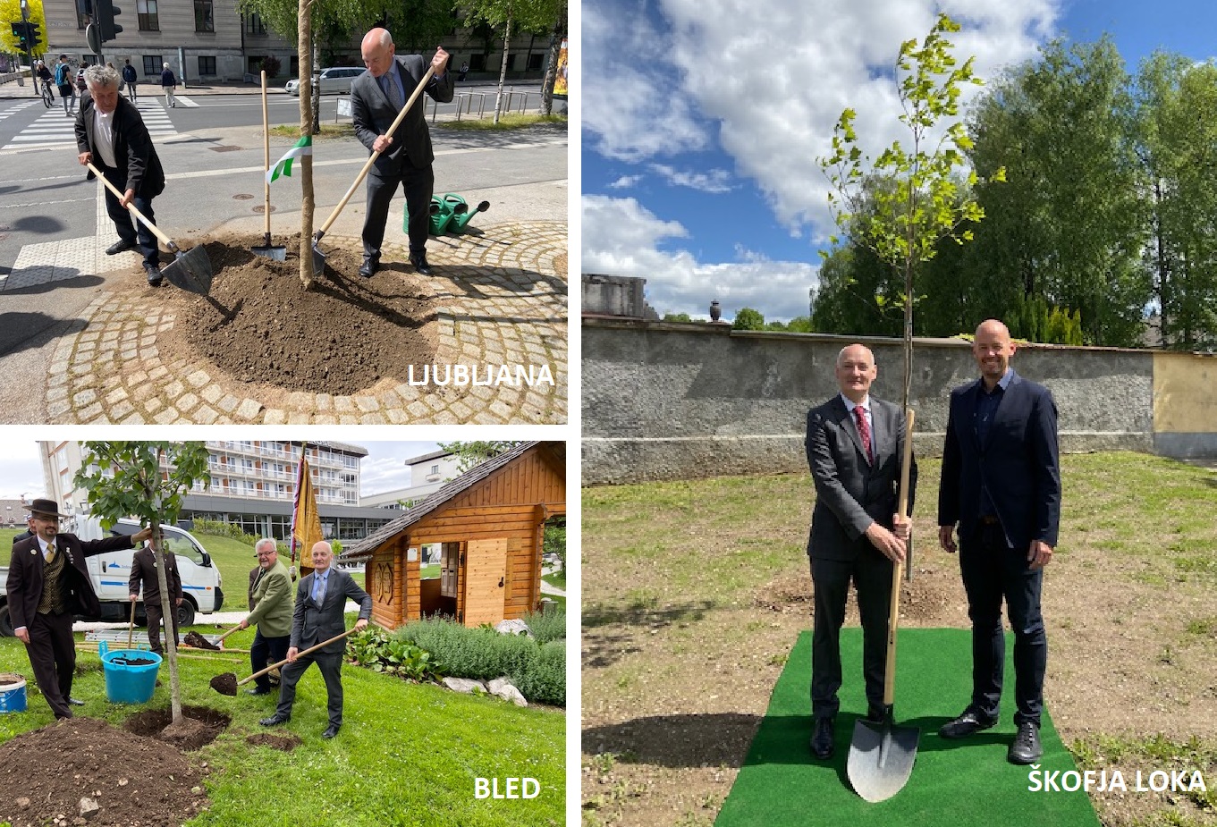 Embassy marks friendship with municipalities with trees for bees